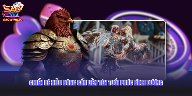 Chiến kê Điều Bông gắn liền tên tuổi Phúc Bình Dương 