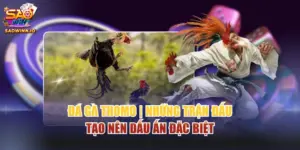 Đá gà Thomo