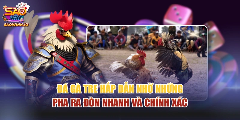 Đá gà tre