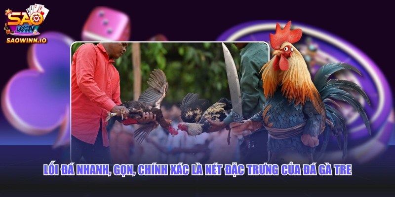 Lối đá nhanh, gọn, chính xác là nét đặc trưng của đá gà tre