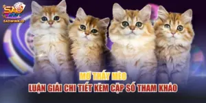 Mơ thấy mèo