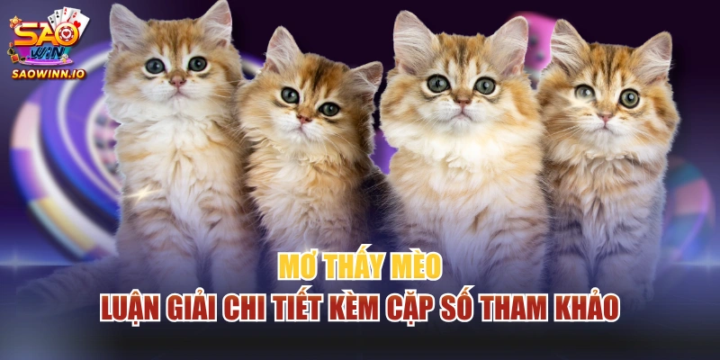 Mơ thấy mèo