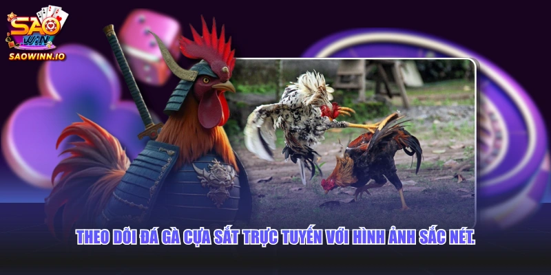 Theo dõi đá gà cựa sắt trực tuyến với hình ảnh sắc nét.
