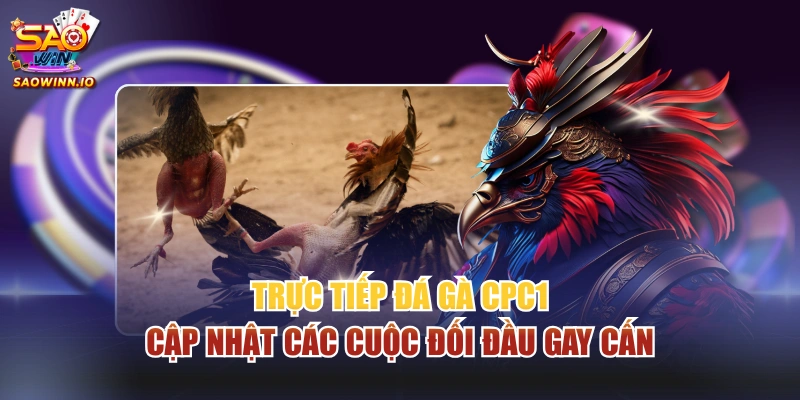 Trực tiếp đá gà CPC1